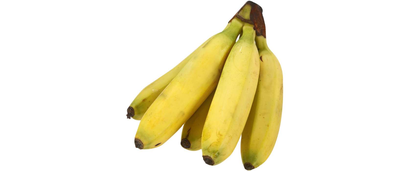 Exoten Banane
